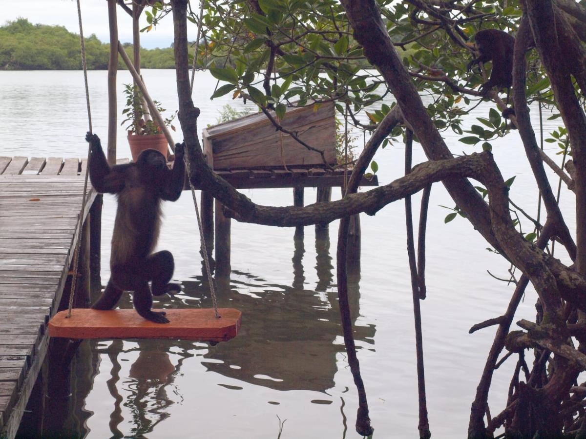 Casa Cayuco Eco-Adventure Lodge Bocas del Toro Esterno foto