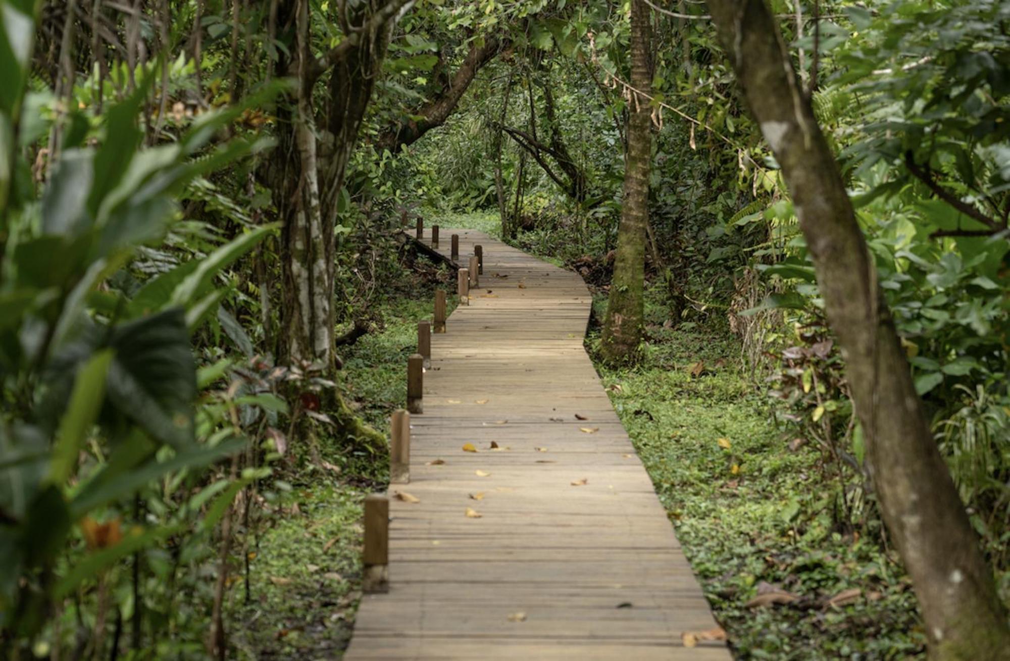 Casa Cayuco Eco-Adventure Lodge Bocas del Toro Esterno foto